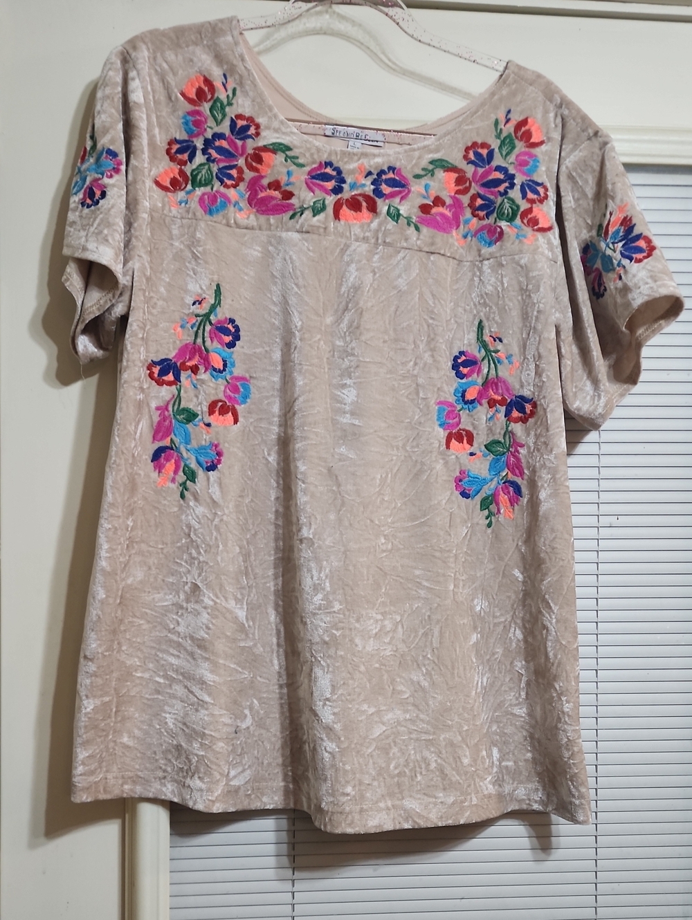 Beige Embroidered Velvet Blouse with Floral Accents